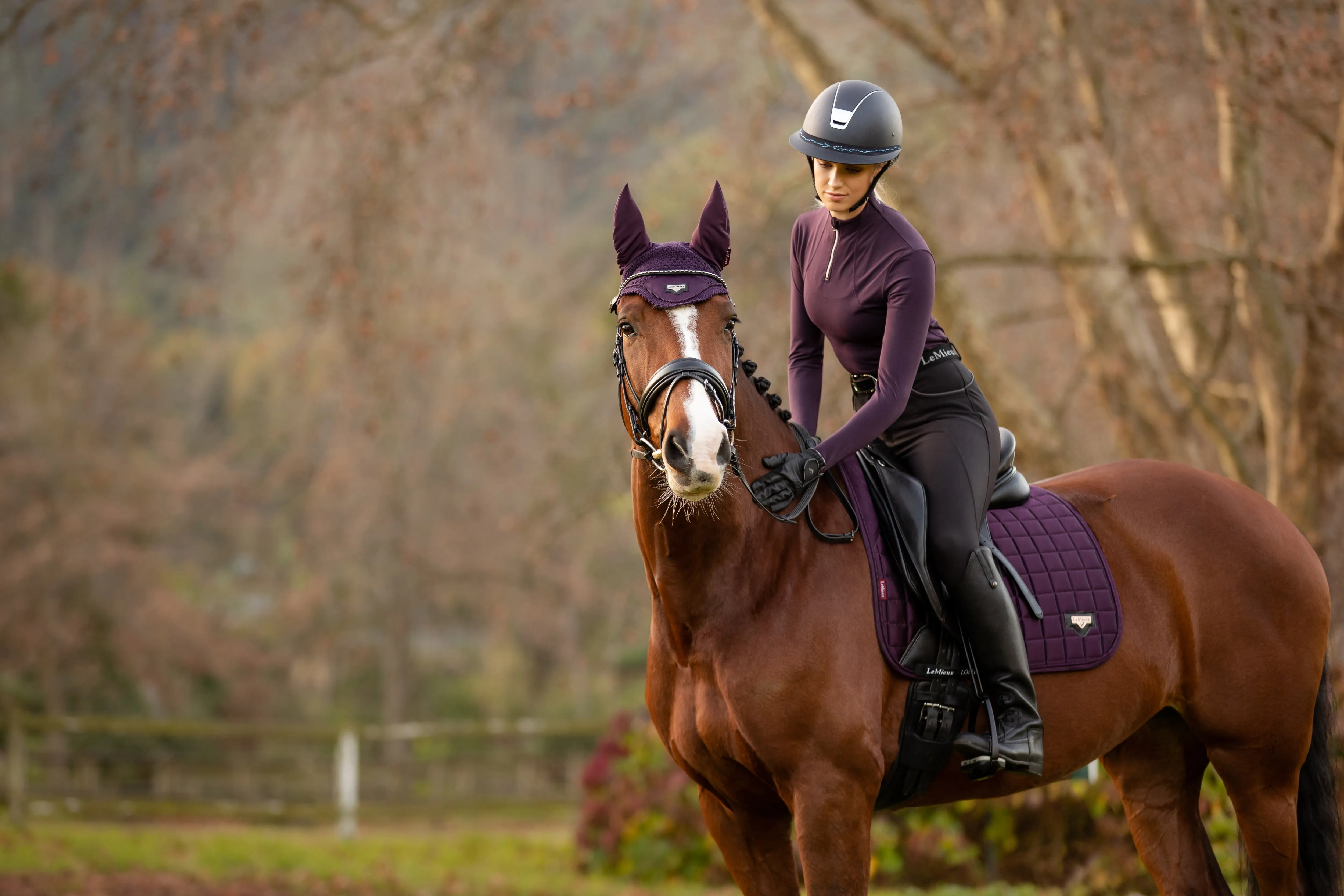 Base Layer "Liberte" in Fig von LeMieux