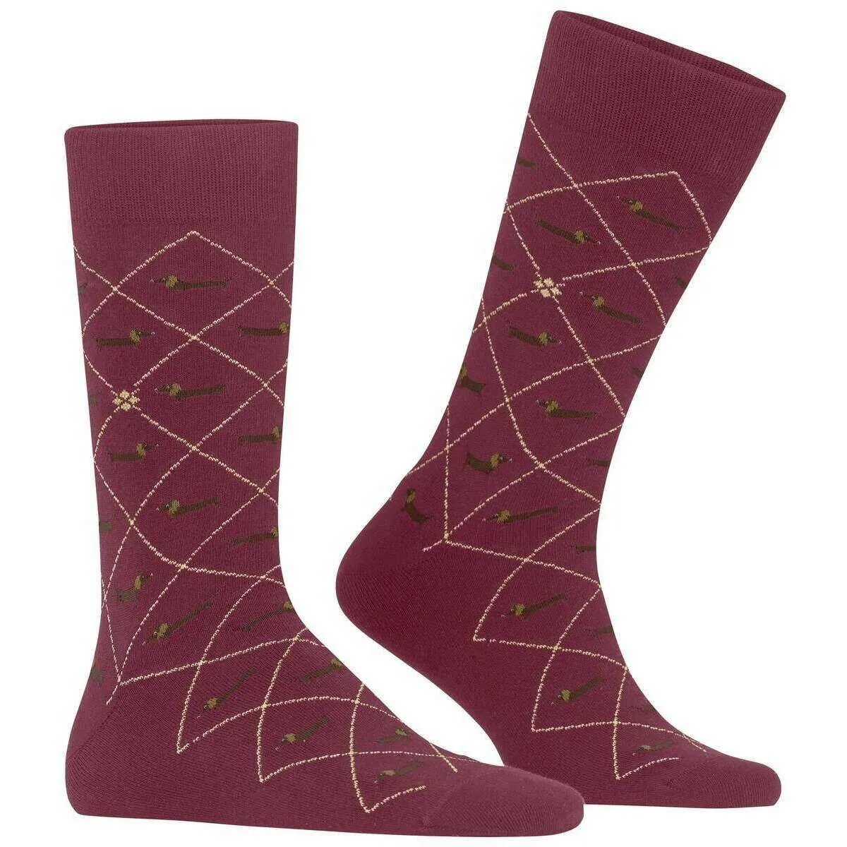 Burlington Dachshund Socks - Burgundy