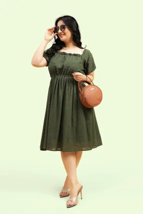 Curvy Lane Women Plus Size Raglan Puff Sleeves Flared Schiffli Dress