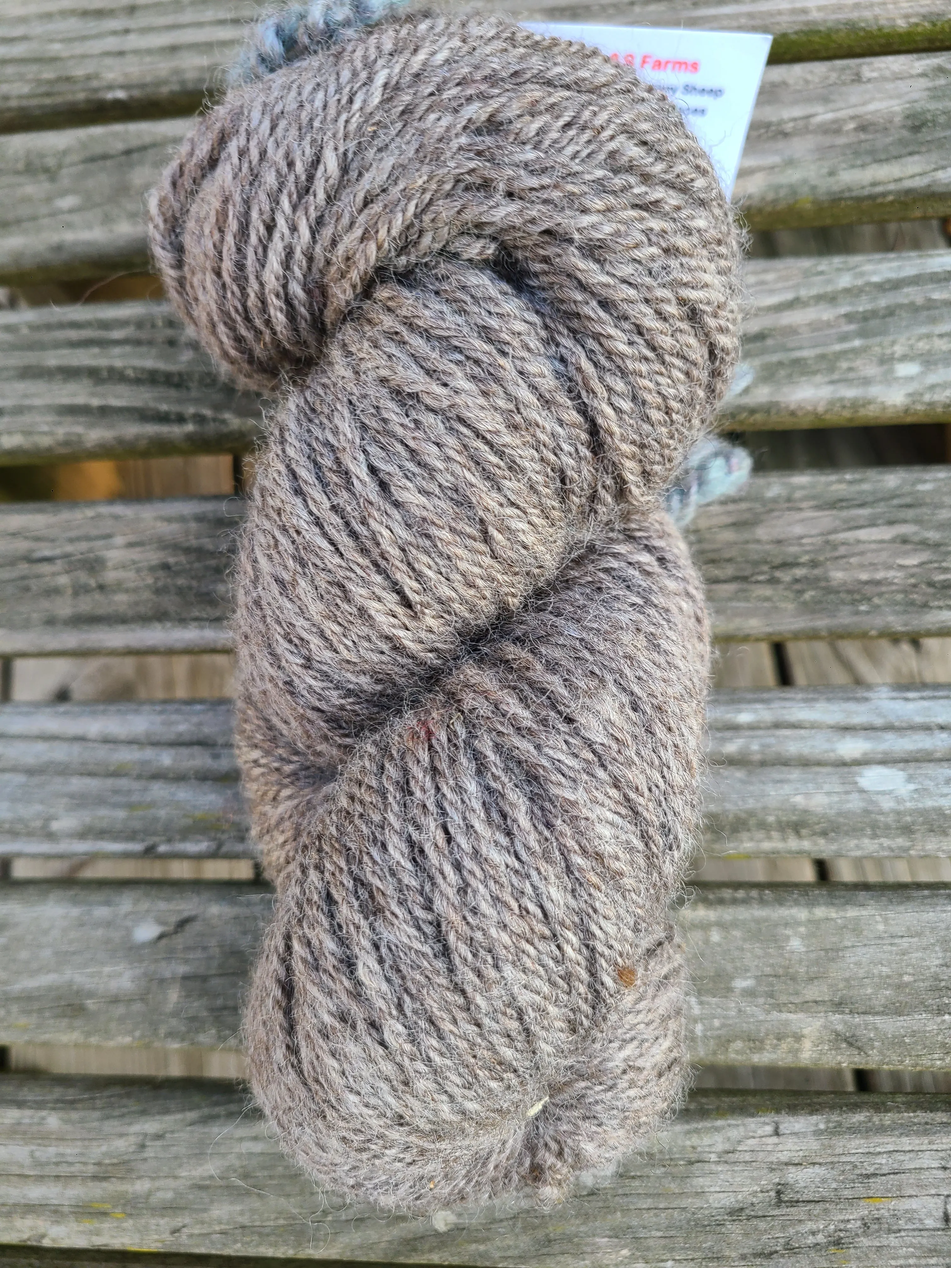 Gray Tabby Kitten- TG-20 Felted Knitted 3LSWool Yarn  2 1/2" x 3"