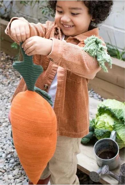 Lorena Canals Knitted Cushion Cathy the Carrot