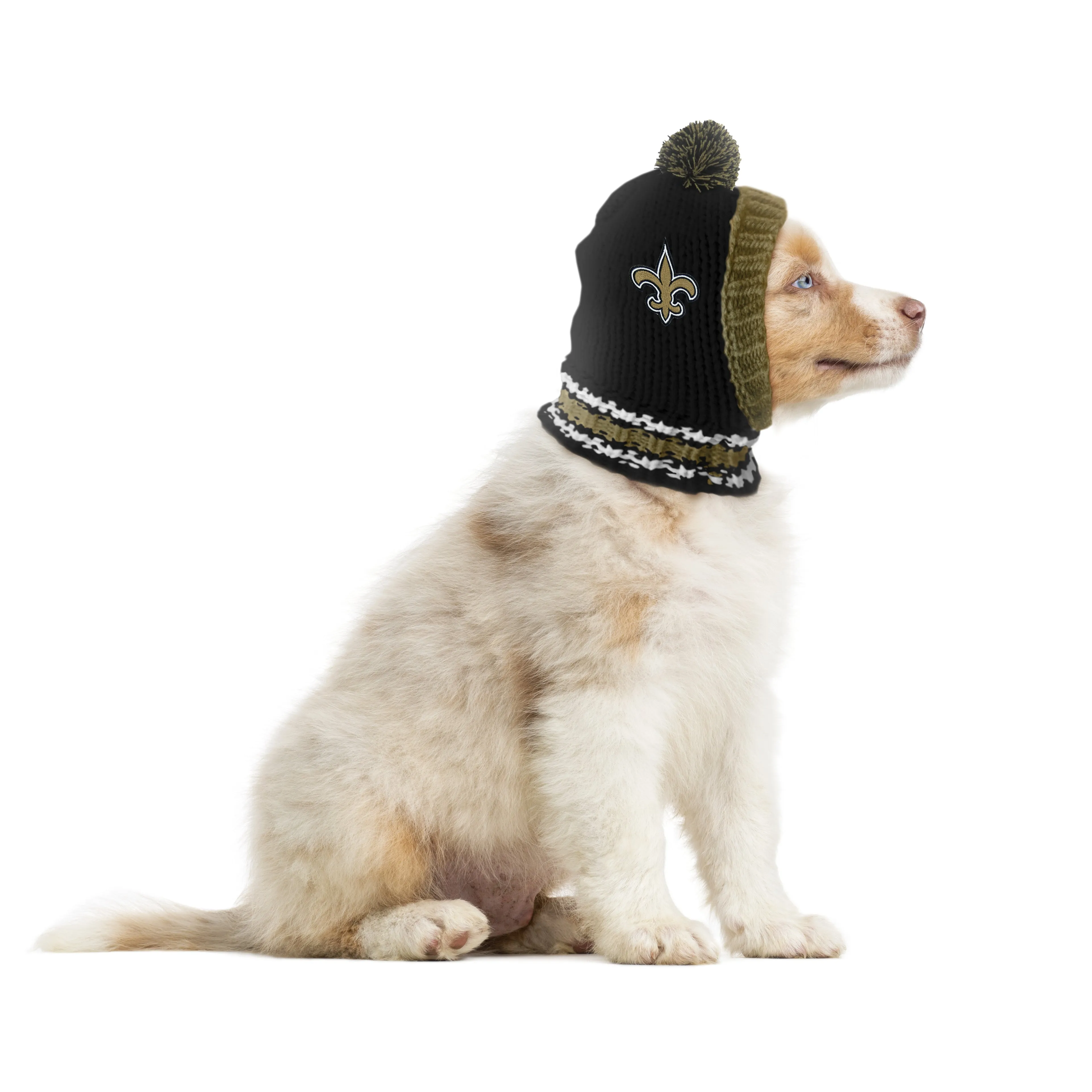 New Orleans Saints Team Pet Knit Hat