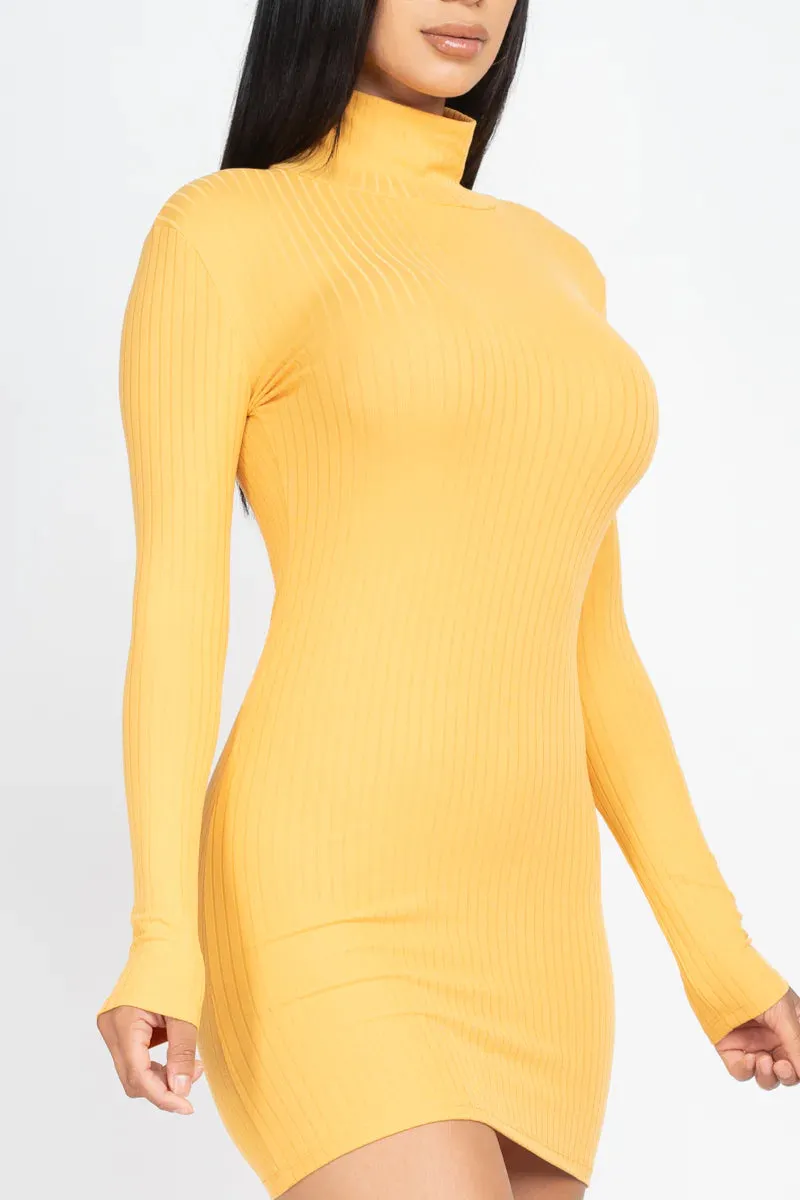 Ribbed Mock Neck Bodycon Mini Dress (CAPELLA)