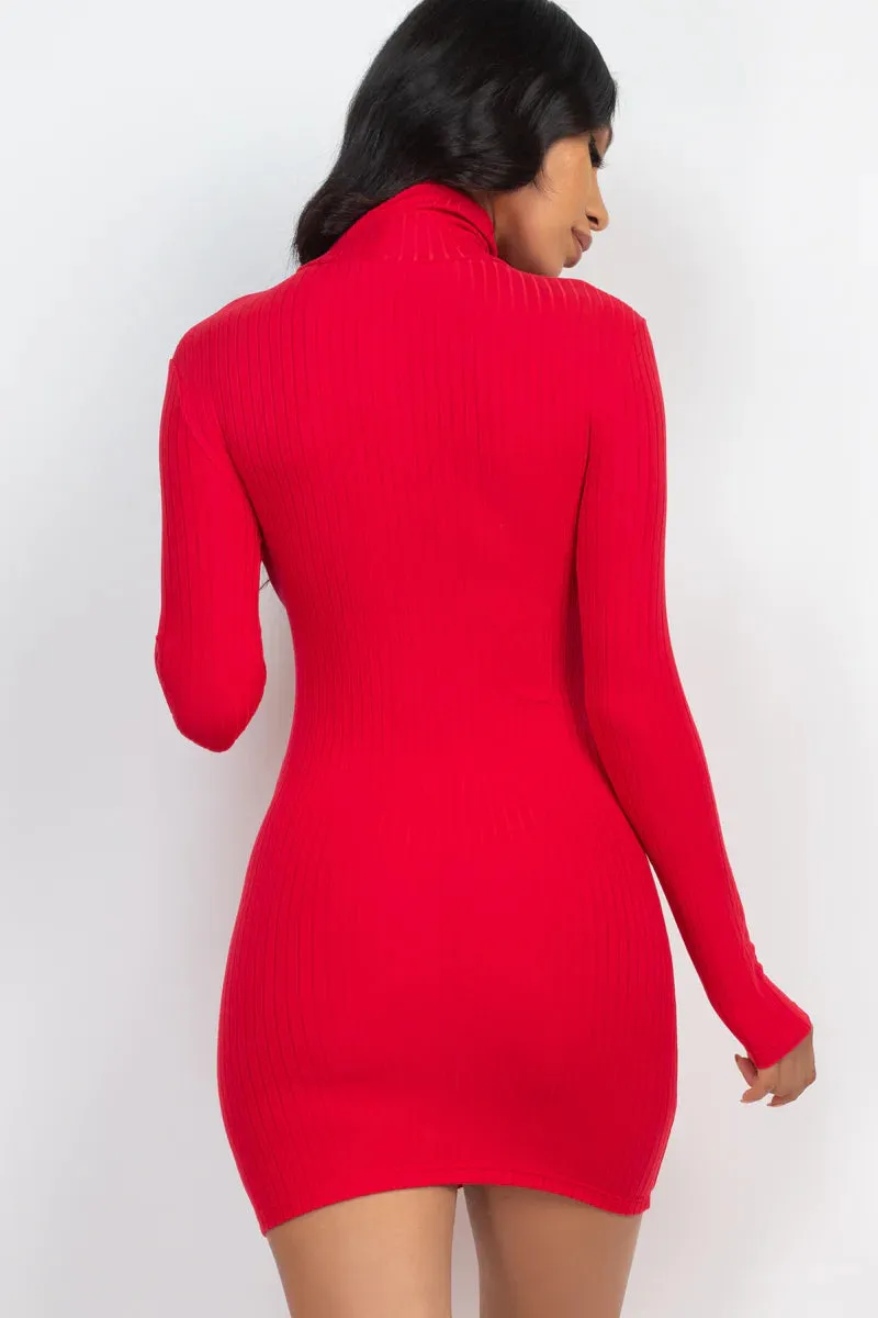 Ribbed Mock Neck Bodycon Mini Dress (CAPELLA)